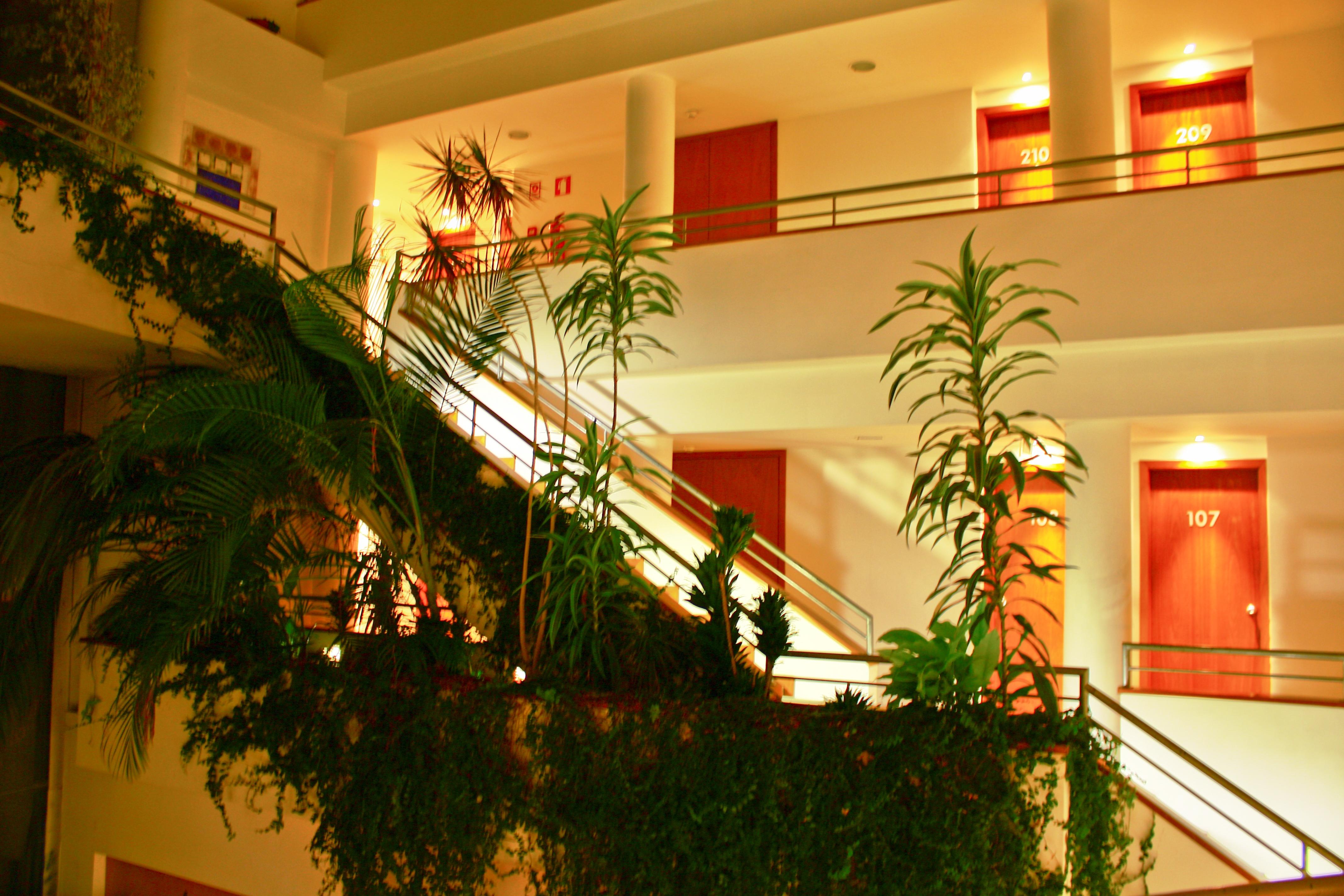 Hotel Das Taipas Guimarães Екстериор снимка